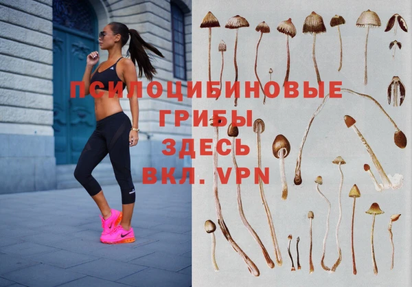 прущая мука Абдулино