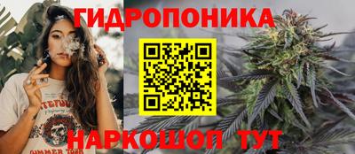 стаф Нарткала