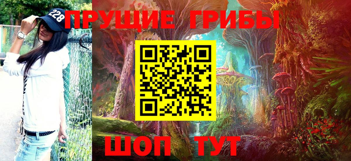 Галлюциногенные грибы GOLDEN TEACHER Отрадный