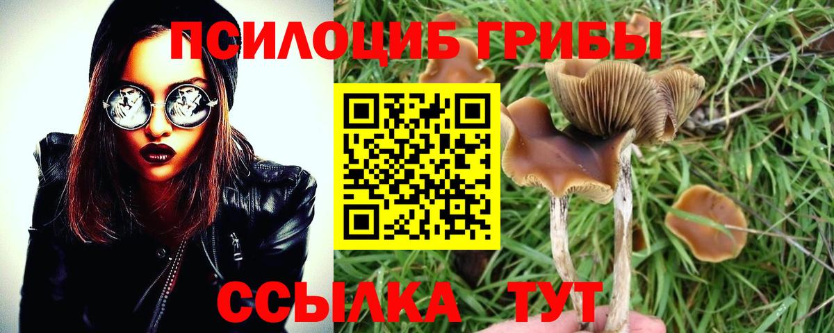 Отрадный  Галлюциногенные грибы мухоморы  Галлюциногенные грибы мухоморы  Вход с VPN 